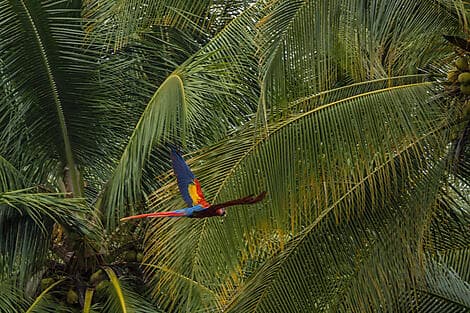 Nov 13, 26 - Golfito