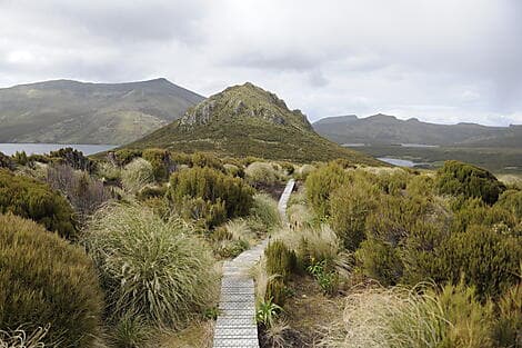 Jan 22, 26 - Campbell Island