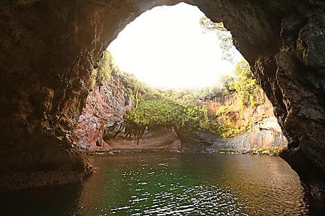 Jan 17, 26 - Musgrave Inlet, Auckland Islands