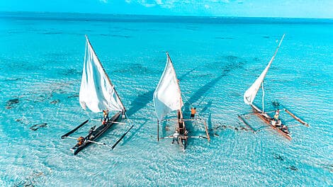 Feb 14, 26 - Zanzibar