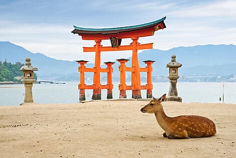 Mar 16, 26 - Miyajima Island