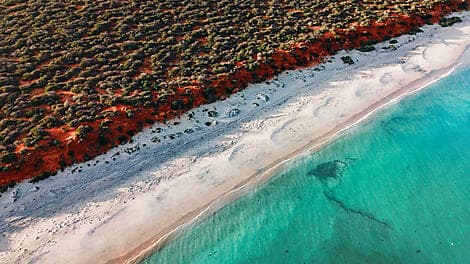 Aug 11, 26 - Shark Bay World Heritage Area