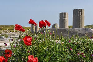 The archaeological site of Delos