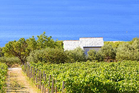 Aug 26, 26 - Pucisca, Brac Island