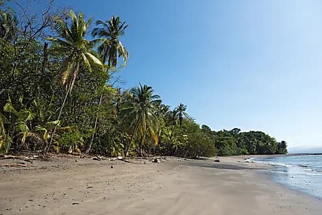 Mar 19, 26 - Cébaco Island