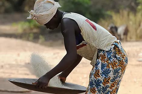 Nov 21, 26 - Carache Island, Bijagos