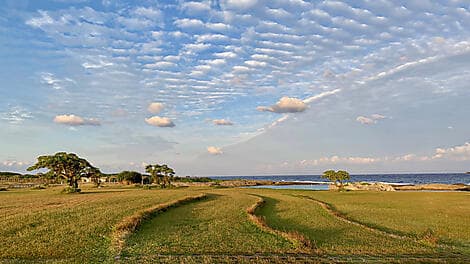 Mar 8, 26 - Kikaijima
