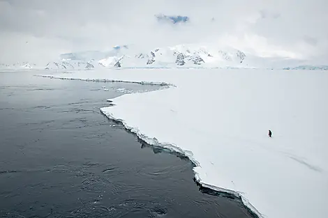 Jan 6, 26 - The Gullet