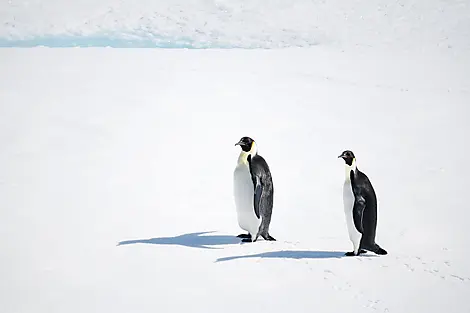 Mar 1, 27 - The Weddell Sea exploration