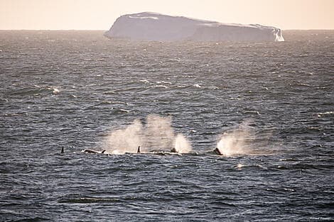 Jan 25, 26 - Amundsen Sea