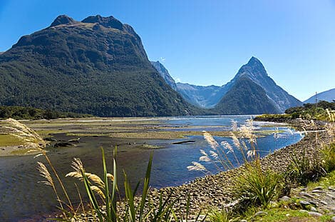 Jan 15, 26 - Milford Sound