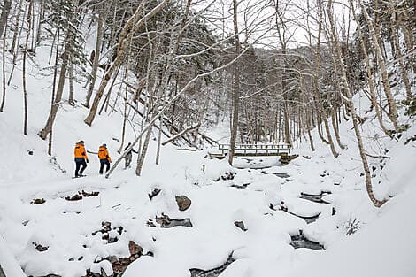 Mar 7, 27 - Corner Brook