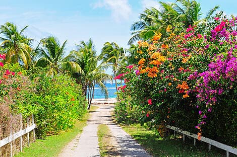 Mar 10, 27 - Charlestown, Nevis