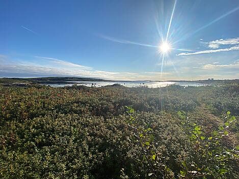 Sep 29, 26 - La Romaine