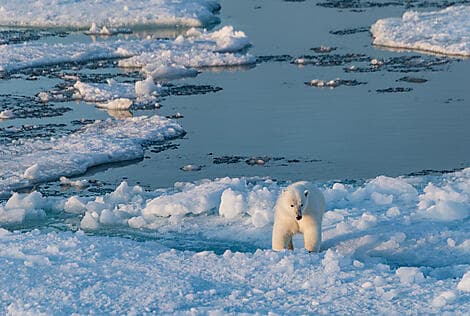Sep 10, 26 - Coningham Bay, Nunavut