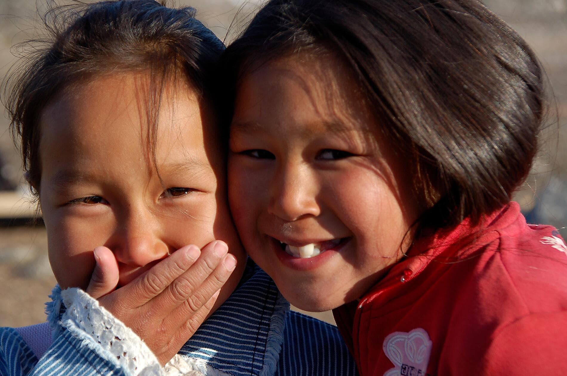 Wilderness from Greenland to the East Coast of Canada
