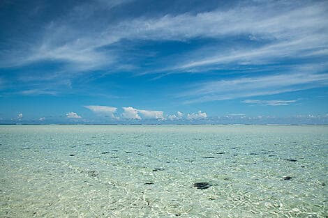 Feb 4, 26 - Saint François Atoll