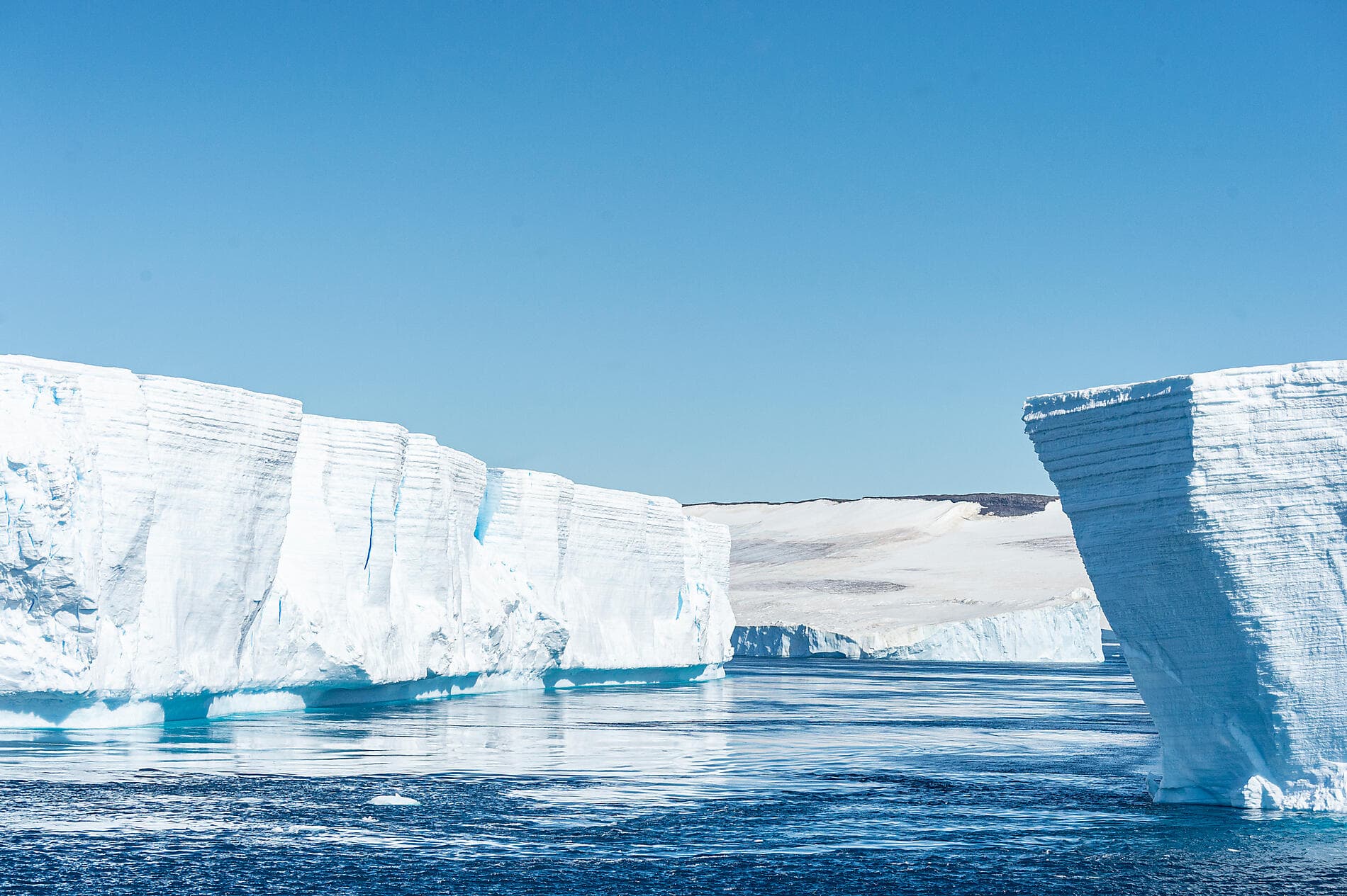 Emblematic Antarctica 