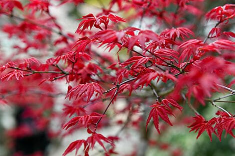 Mar 30, 26 - Itozaki