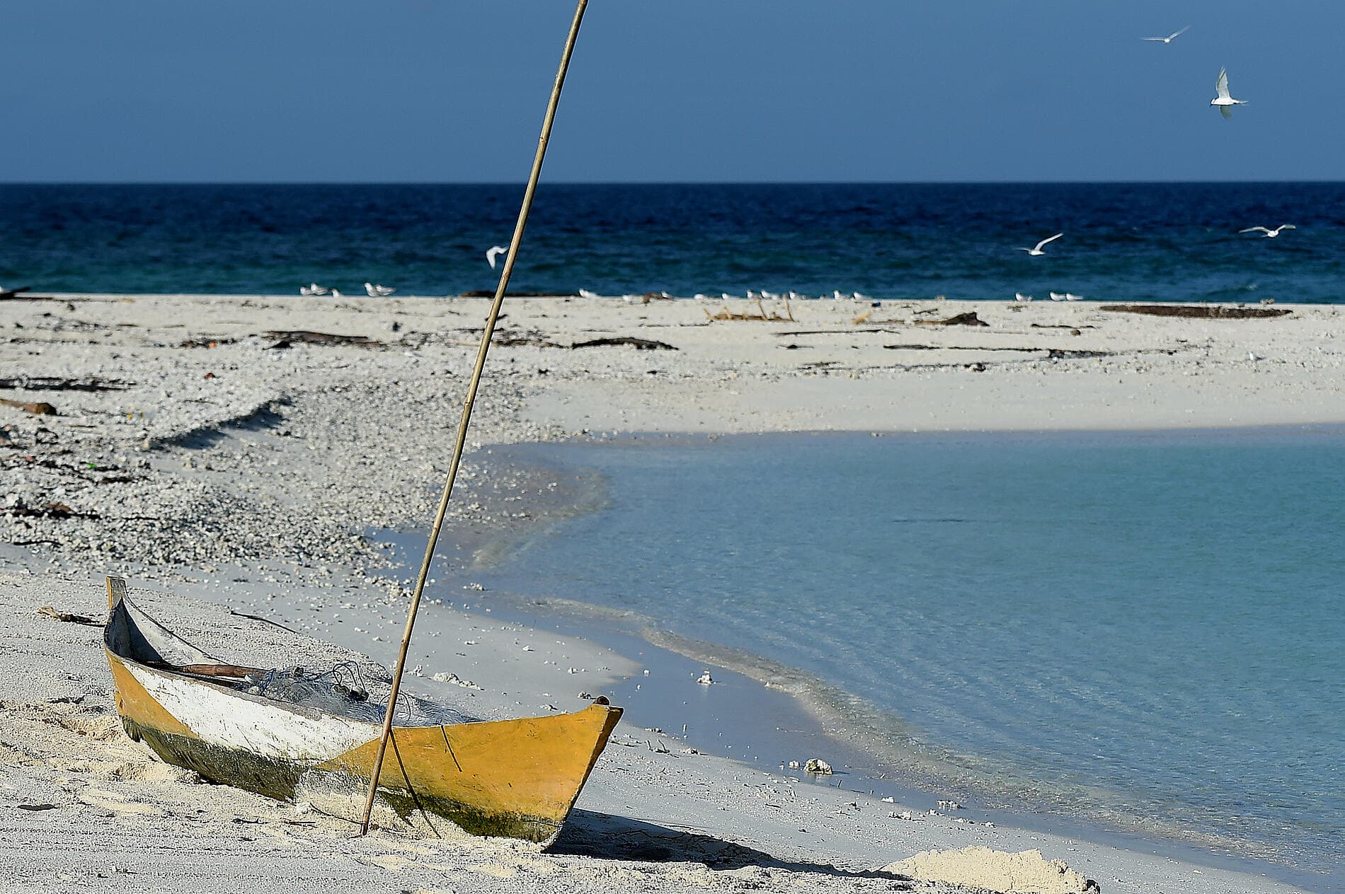 Tropical Odyssey between Indonesia and North East Australia