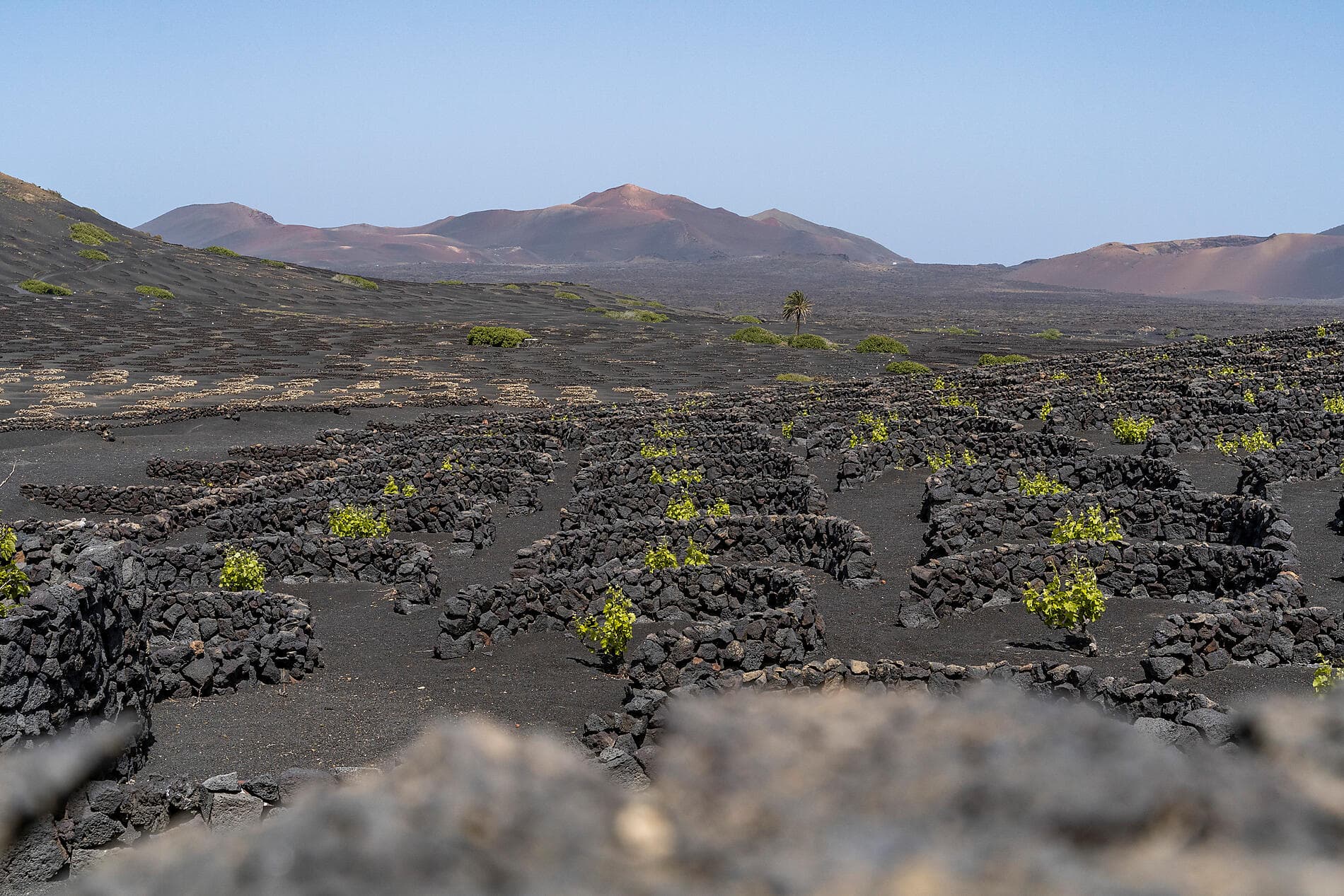 Volcanic landscapes from Canary Islands to Cape Verde 