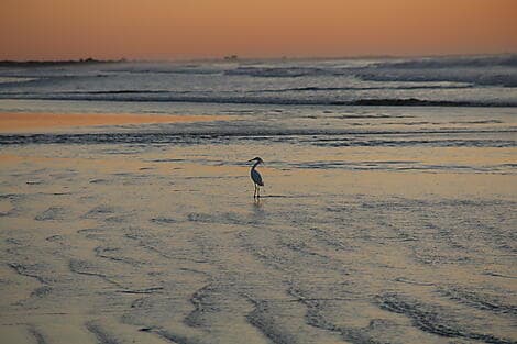 Mar 19, 27 - Rio Grande