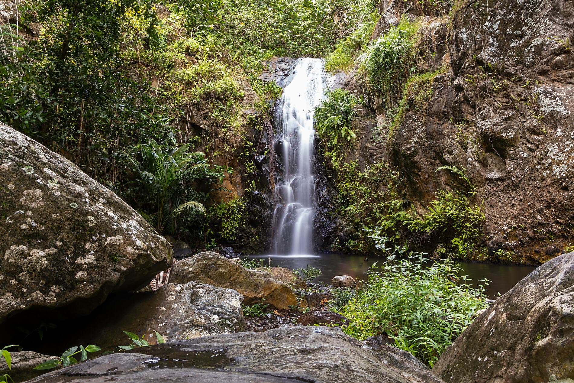 Polynesian Bliss: Marquesas, Tuamotu and Society Islands 