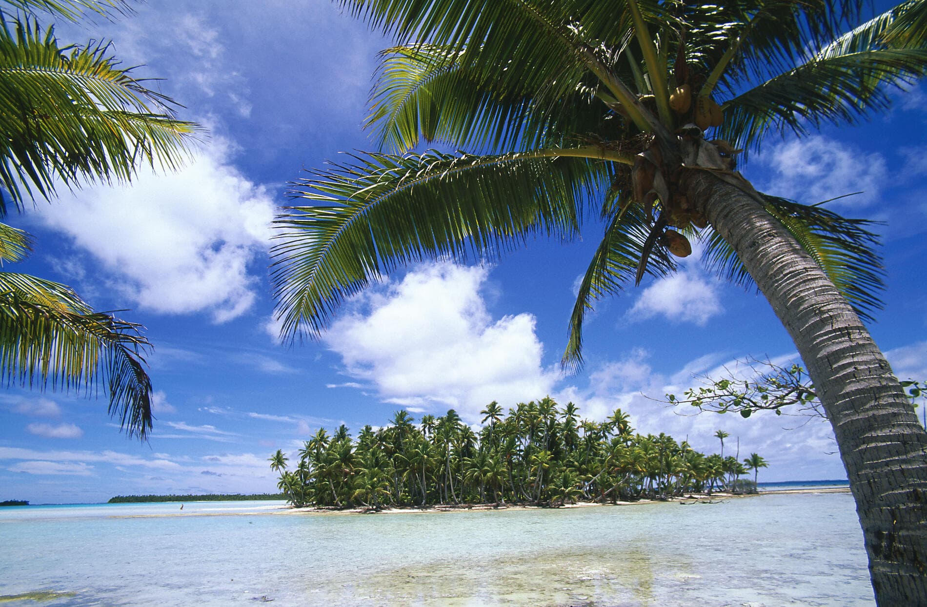 From French Polynesia to Pitcairn Island 