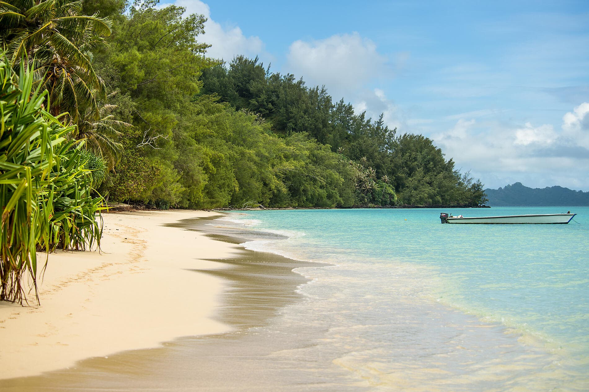 From French Polynesia to Pitcairn Island 