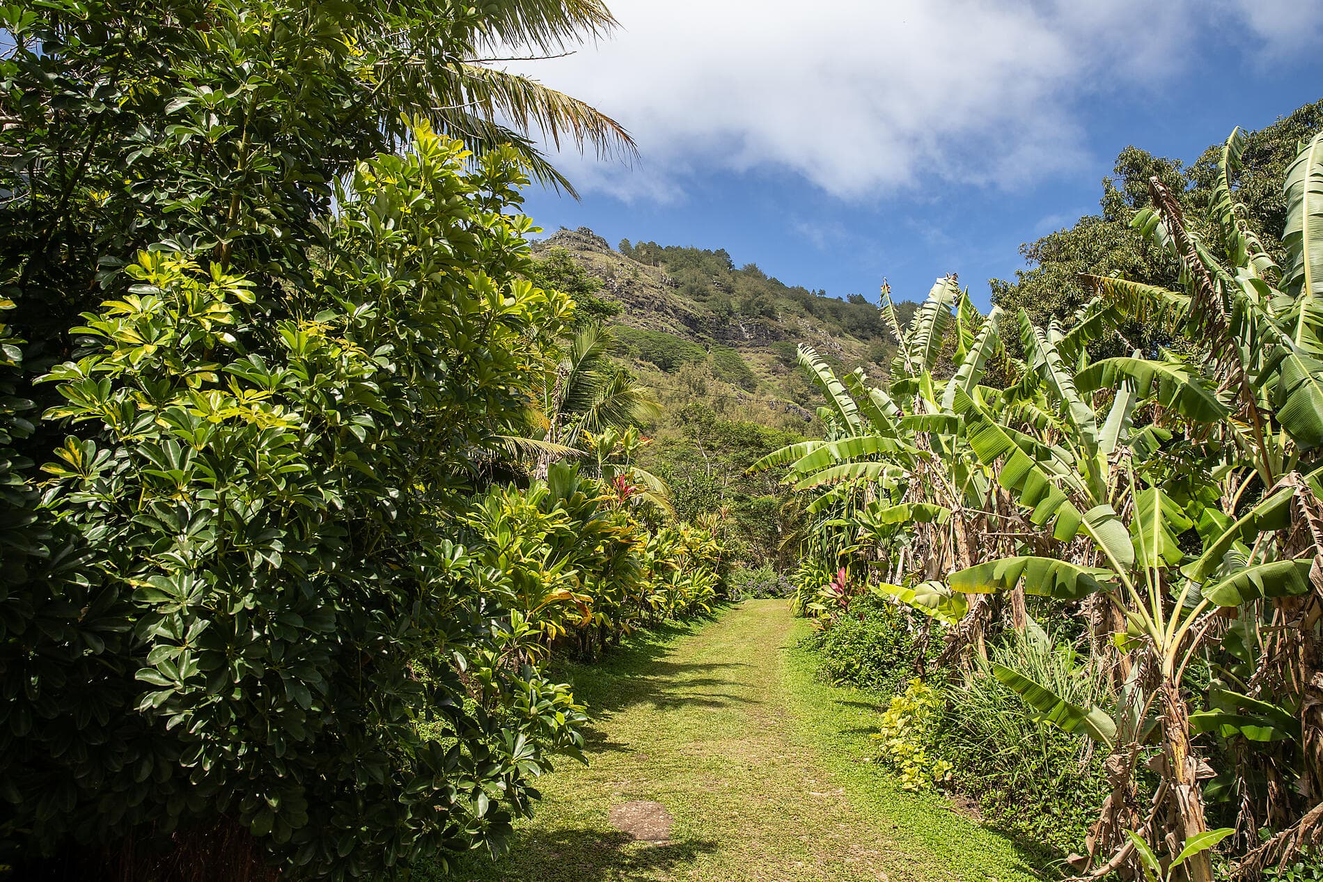 Secret Polynesia from the Society to the Austral Islands 