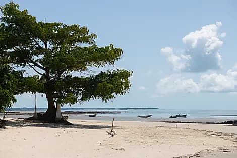 Nov 24, 26 - Joao Vieira Island, Bijagos