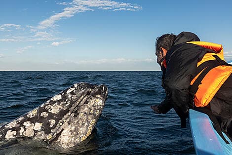 Feb 2, 27 - Guerrero Negro