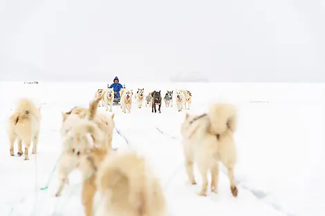 Sep 4, 27 - Qeqertarsuaq