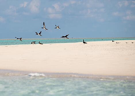 Jul 29, 27 - Ashmore Reef (technical stop)