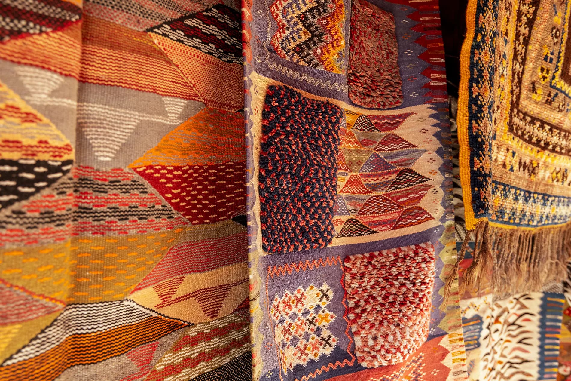 Atlantic odyssey from the Canary Islands to the shores of Morocco 