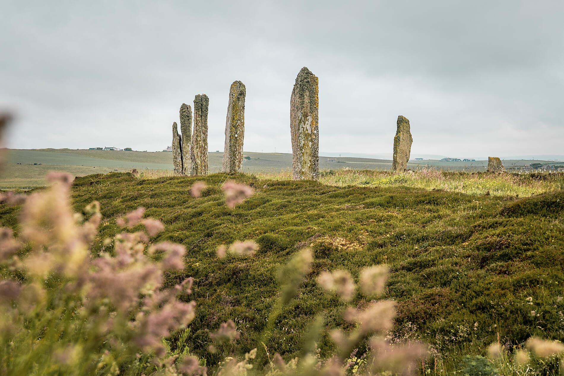 From the Arctic Circle to the Scottish Isles