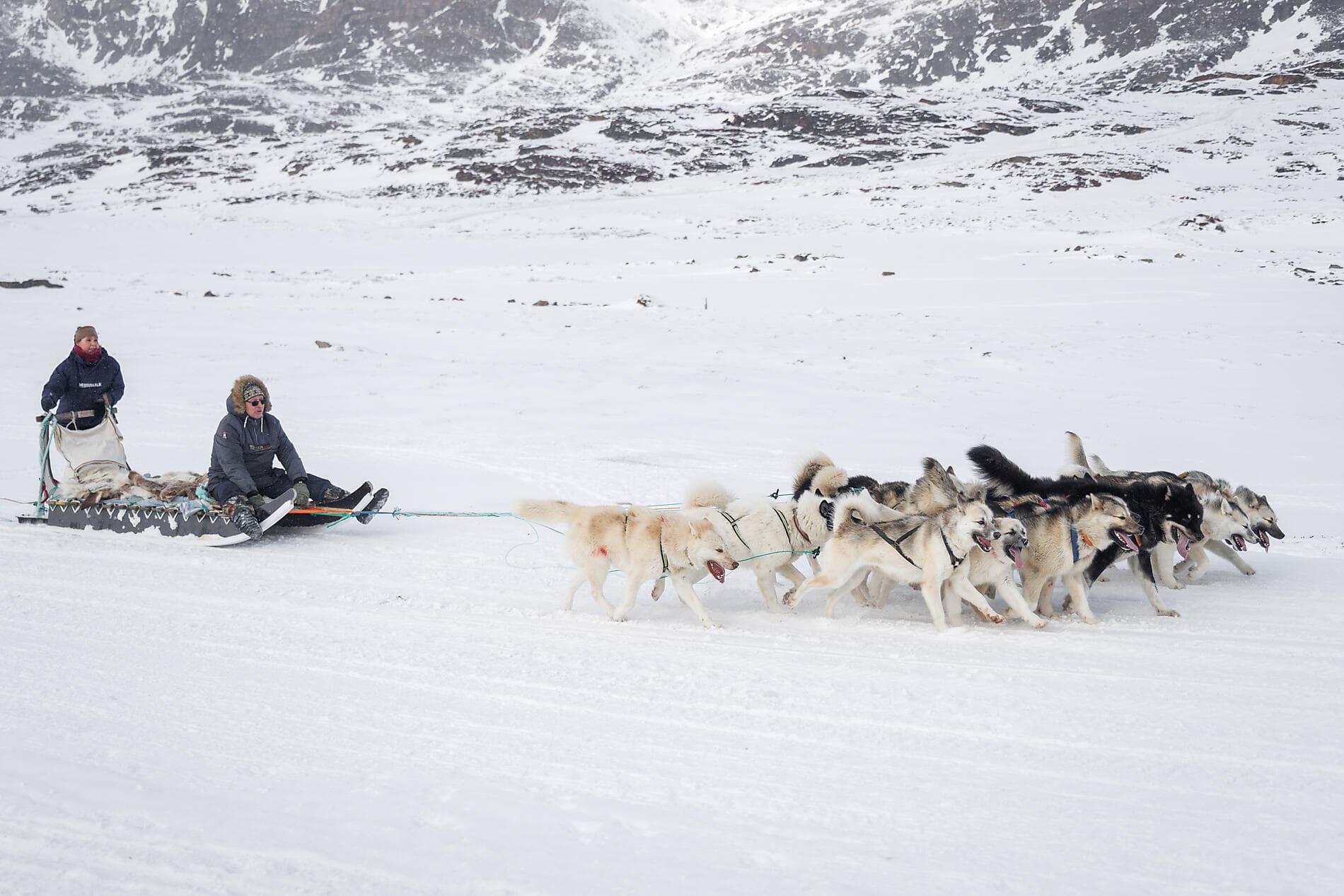 Disko Bay: Meeting the Inuit & Discovering the Unknown 
