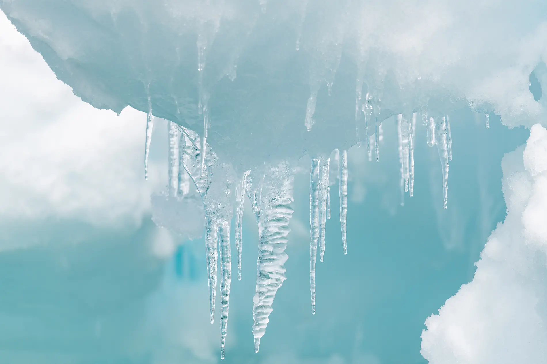 From the St Lawrence to Greenland, the Last Moments of Winter