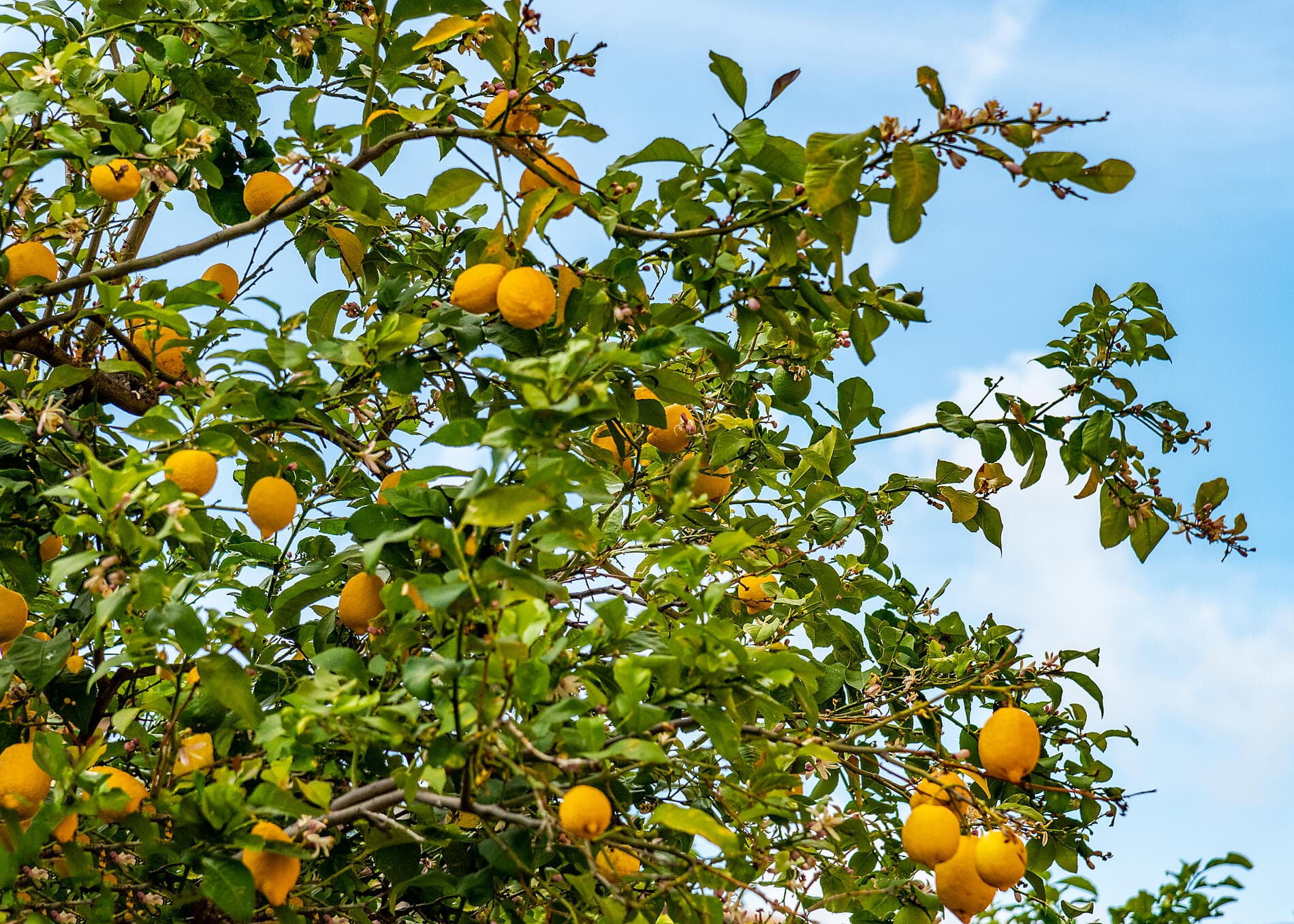 An Autumn Escape: Côte d’Azur, Italian Riviera & Corsica 