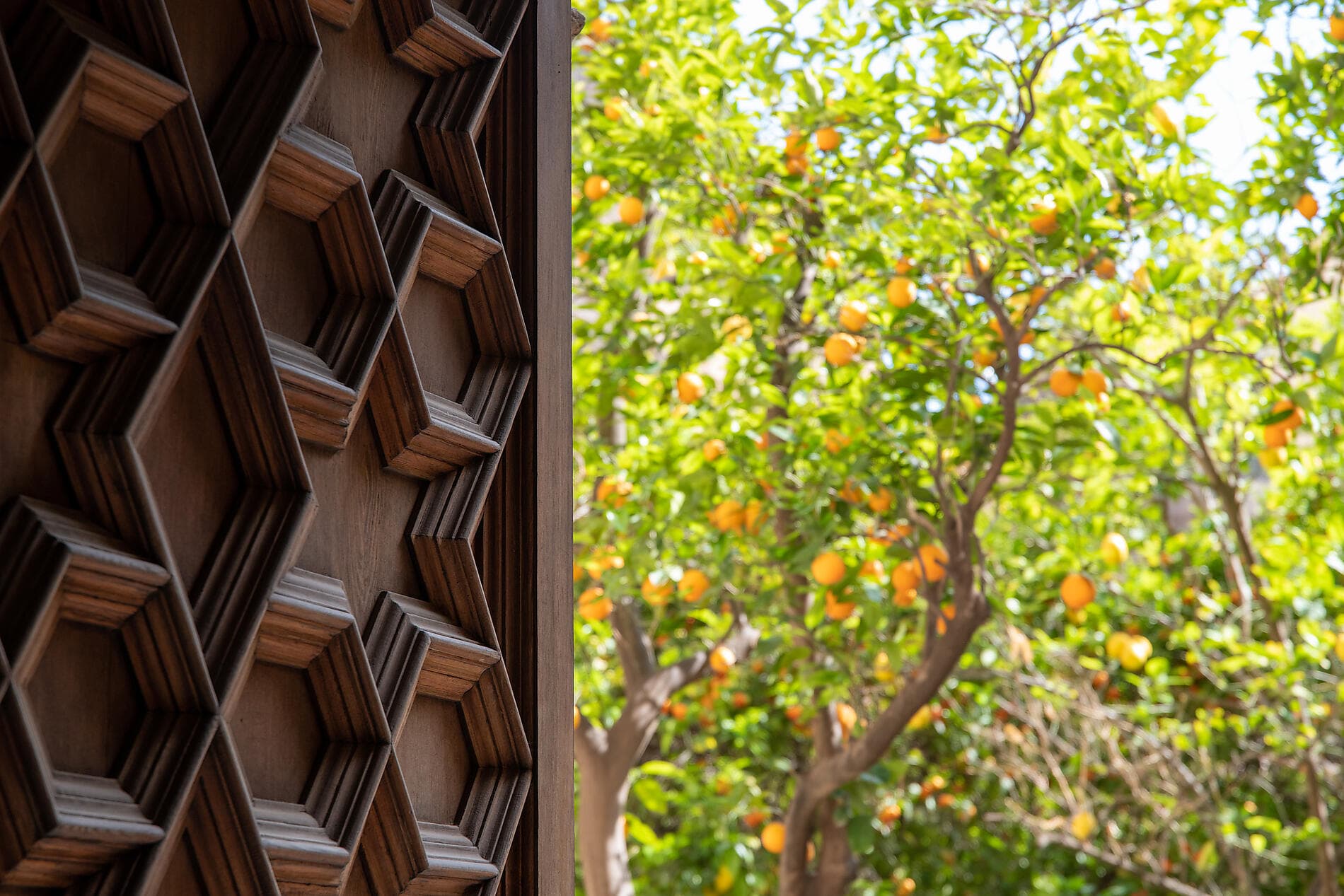 Treasures of the Western Mediterranean 