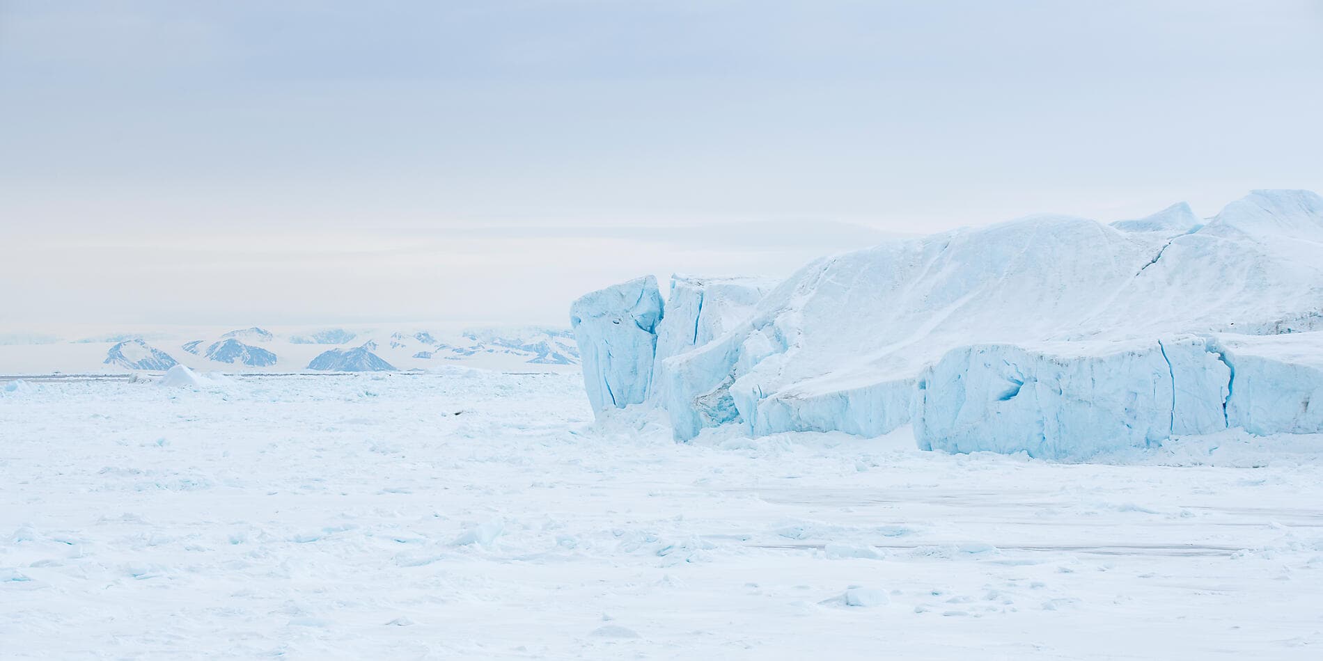 The Emperor Penguins of Weddell Sea 