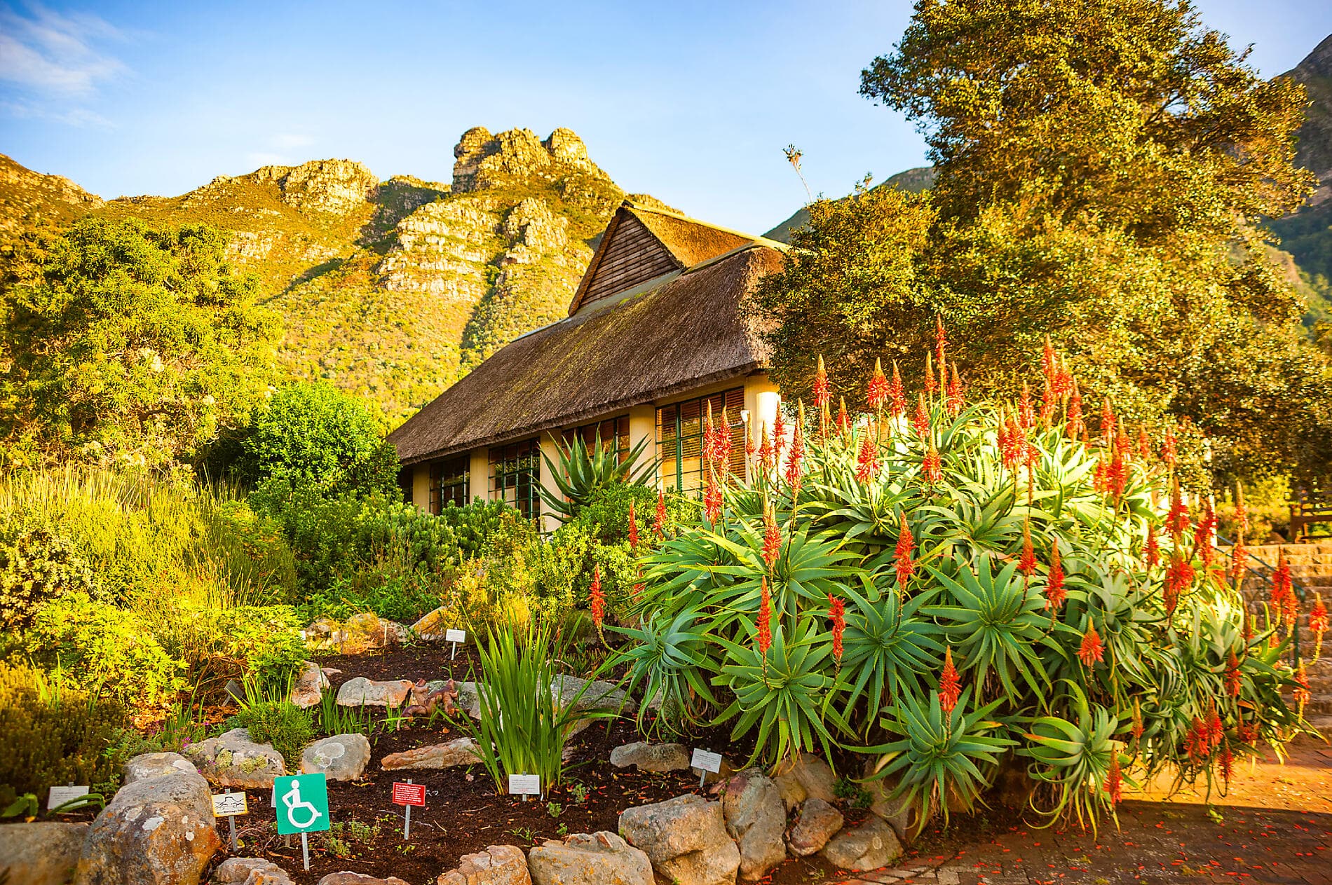 South Africa and Namibia by Sea: Around the Cape of Good Hope - with Smithsonian Journeys 