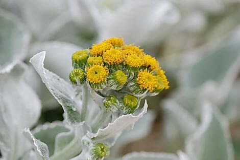 Dec 23, 25 - Grave Cove